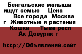 Бенгальские малыши ищут семью) › Цена ­ 5 500 - Все города, Москва г. Животные и растения » Кошки   . Тыва респ.,Ак-Довурак г.